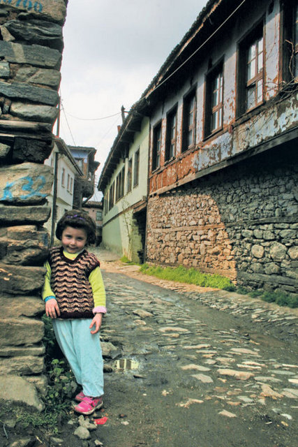 Bölgenin yerli balıkları tekir, pisi, dil, mezgit, kalkan, kırlangıç, sardalya. Balıkların arkasından hardal otu salatası ve limon ve sütle eritilip yapılan fırın helvası yenilmesi gerekenlerden -  -