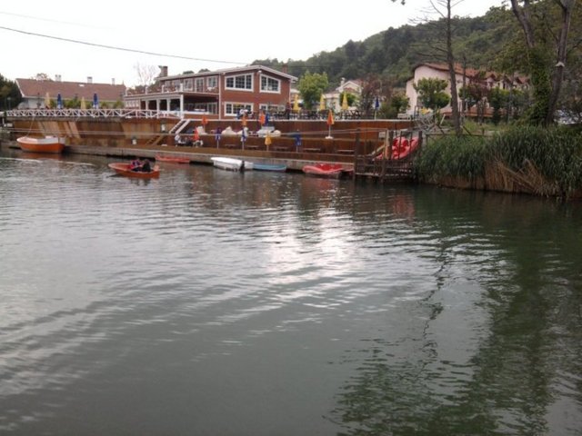 AĞVA: - Kusursuz bir doğa, temiz ortam ve lezzetli balıklar Ağva'yı tanımlıyor.