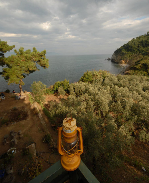 Kendine has tadı ve özelliklere sahip literatüre geçmiş Dünyaca ünlü Trilye zeytini de sadece bu topraklarda yetişiyor.