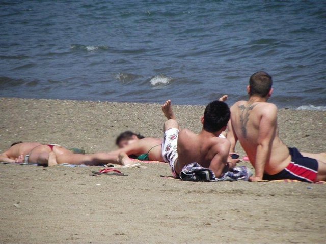 Kadın turistler bir şeyden habersiz güneşlenirken onlar da turistleri böyle izliyor