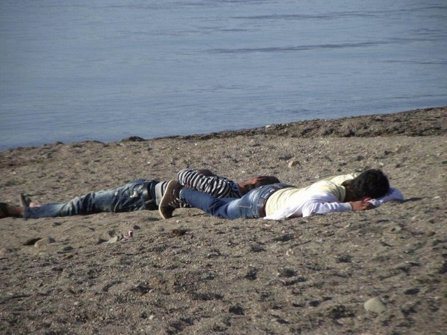 Güneşin en dik geldiği anlar onların plajda uyku zamanı