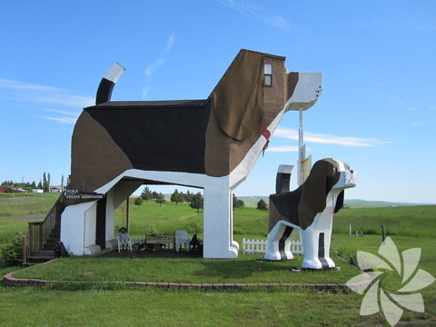 Exploranter (Brezilya)