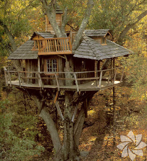 Green Magic Treehouses (Hindistan)