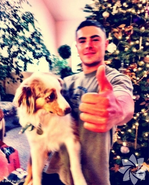 Zac Efron - Puppy