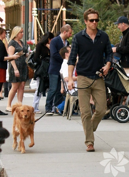 Ryan Reynolds - Baxter