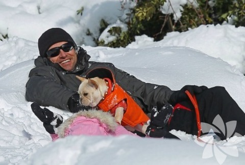 Hugh Jackman - Mochi