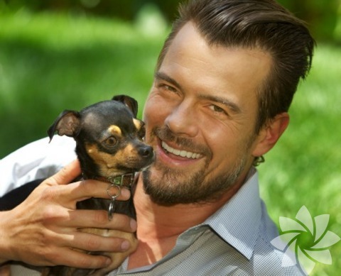 Josh Duhamel - Lucky