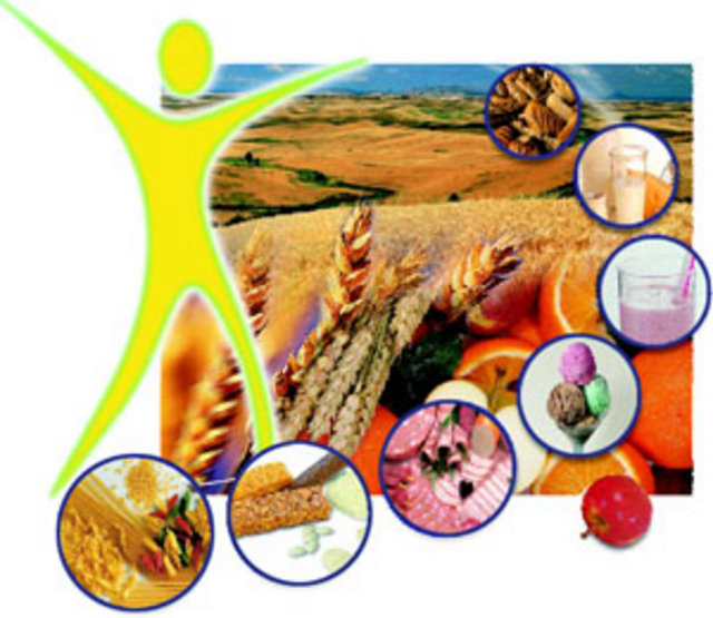 LİFLİ GIDALAR DİNÇ VE TOK TUTAR -  - Ramazan ayının sihirli sözcüklerinden biri de 'lif'. Lif, sindirim sistemi için büyük önem taşıyor ve midenin boşalmasını geciktirdiği için kişiyi tok tutuyor. Kişinin günde 30 gram lif yemesi gerekiyor. Özellikle sahurda yenen lifli gıdalar kişinin bütün gün dinç ve tok kalmasını sağlıyor. Kahvaltı gevrekleri, yulaflı musliler, meyve, tam tahıllı ya da tam buğday ekmeklerinin yanı sıra elma lif kaynaklarının başında geliyor. -