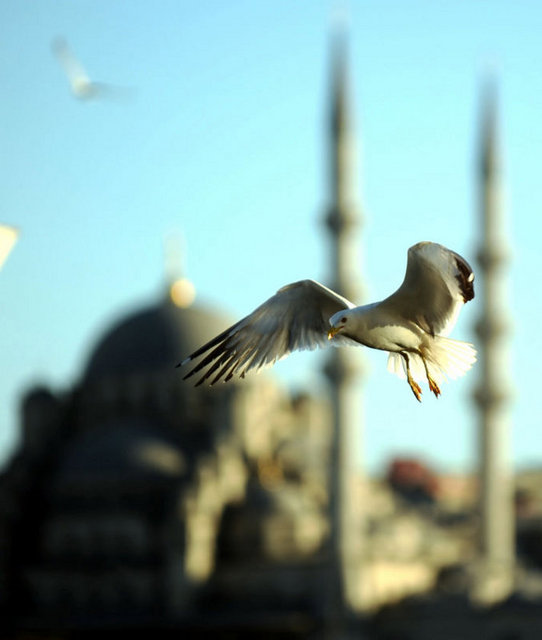 Yeni Camii - Eminönü'ndeki Yeni Cami ya da Valide Sultan Camii, İstanbul'da 1597 yılında Sultan III. Murat'ın eşi Safiye Sultan'ın emriyle temeli atılan ve 1663'te zamanın padişahı IV. Mehmet'in annesi Hatice Turhan Sultan'ın büyük çabaları ve bağışlarıyla tamamlanıp ibadete açılan camidir. -