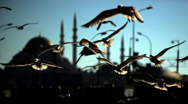 Süleymaniye Camii - Süleymaniye Camii, Kanuni Sultan Süleyman adına 1551-1558 yılları arasında İstanbul'da Mimar Sinan tarafından inşa edilen camidir. -