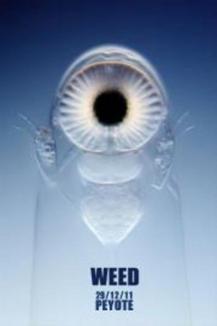 28 Temmuz Cumartesi, Peyote'de; saat 21.00'den sonra bas gitarda Murat Çopur, gitarda Şevket Akıncı, davulda Şenol Küçükyıldırım'dan oluşan Weed grubu. Giriş: Ücretsiz. Tel: (212 251 43 98)