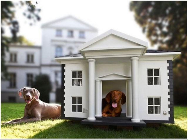 Alabama Köpek Malikanesi:  -  - ABD'de yıllardır birçok büyük çaplı protestoya neden olan "yüde 99-yüzde 1" kavgası köpeklere de sıçrayabilir. Köpeğinizi çok seviyorsanız, ona bu malikaneyi alarak en zengin yüzde 1'lik kesimin içine dahil edebilirsiniz. Fiyat: 7200 dolar.