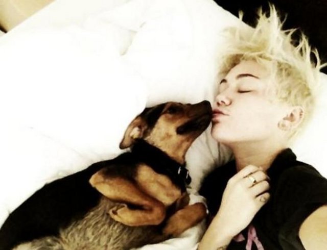 Cyrus ve köpeği.. Diğer elinde de fotoğraf makinesi var.