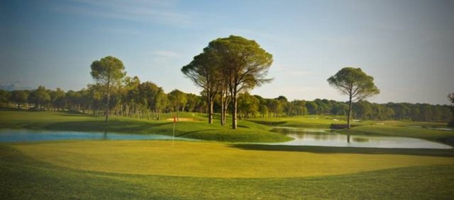 Carya Golf Club / Belek Tel: (242 444 13 52) Burası Akdeniz kıyılarında yer alan geleneksel İngiliz mimarisine sahip ilk klasik Türk golf kulübüymüş. Türkiye golf cennetinin kalbinde "The Championship Golf Sahası"na sahip Carya Golf Kulübü, hafif engebeli kum tepeleri üzerinde konumlanmakta. Çam ve okaliptüs ağaçlarının çevrelediği ve kum tepelerinin çaprazına doğru devam eden delikler üzerinde farklı golf teknikleri deneyebilirsiniz. 72 par ve 7186 metre araziye sahip olan golf kulübünde neler yapılamaz ki?!