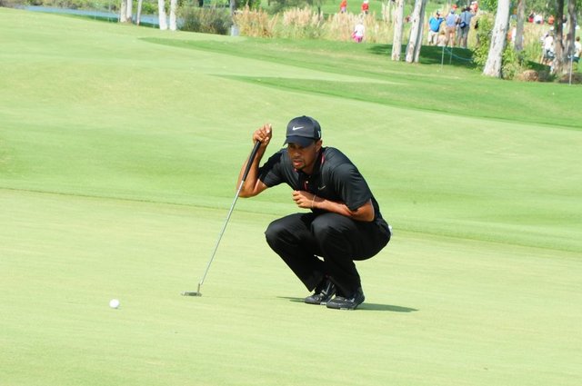 TIGER WOODS
