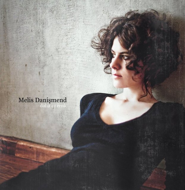 Melis Danişmend / "Daha Az Renk"
