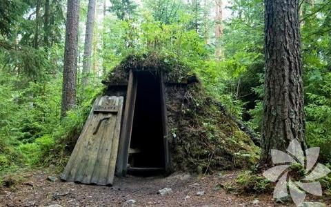 Orman Kulubesi- İsveç