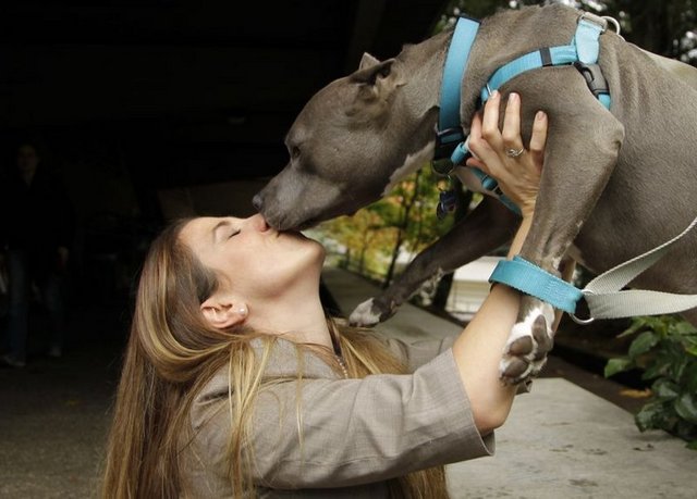 TATİLE GİDERKEN KÖPEĞİNİ YANINA ALMAK İSTEYEN İNGİLİZ AVUKAT, HAVAYOLU ŞİRKETİNİN KÖPEĞİN UÇAĞA BİNDİRİLEMEYECEĞİNİ SÖYLEYİNCE TATİLİNİ İPTAL EDEREK ÇOK SEVDİĞİ KÖPEĞİYLE BÖYLE POZ VERDİ.