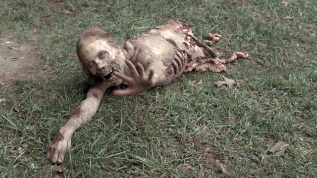 Walking Dead