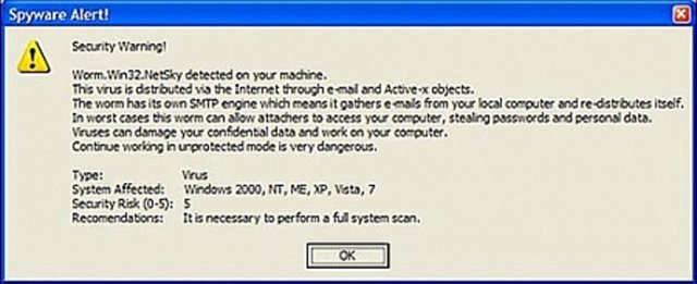 Netsky Virüsü Netsky e-posta ve Windows ağlarını kullanarak yayılıyordu. Virüs, bulaştığı bilgisayarı ele geçiriyor ve hacker tarafından DOS saldırılarında kullanılıyor