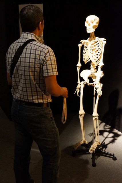 Hemen hemen 7 yılda bir, vücudunuz bir tam iskelete denk olacak şekilde yenilenir.