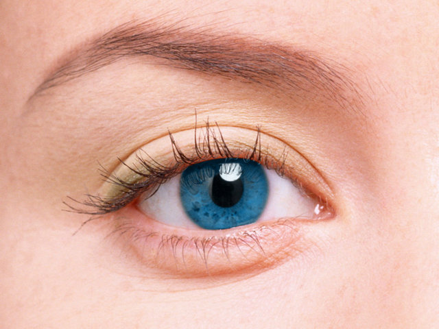 Göz, tüm vücuttaki en hızlı tepki veren kastır.  Saniyenin 100'de biri sürede kasılır.