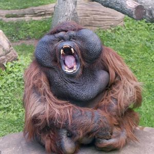 Yaşasın bugün cuma!