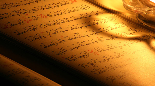 Birmingham Merkez Camii imamı Muhammad Afzal da, "üniversitede bulunan Kur'an bölümlerini görmekten mütehassis olduğunu" söyledi. -