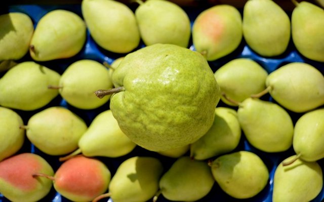 Armut: Mideyi kuvvetlendirip hazmı kolaylaştıran ve kalp çarpıntısını önlediği ifade edilen armudun içinde A, B1, B2, B3, B6 ve C vitaminleri bulunur