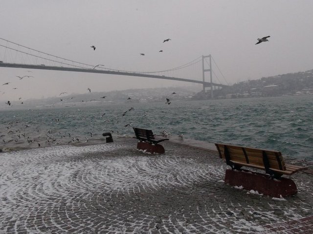 Dışarı çıkarken dikkatli olun: Soğuk ve rüzgârlı günlerde ağız ve burnunuzu bir atkıyla kapatın. Şayet astım hastasıysanız Polen ve küf alerjiniz varsa, polen ve küf düzeylerinin yüksek olduğu zamanlarda sokağa çıkmamaya çalışın Hava raporlarını takip edin.