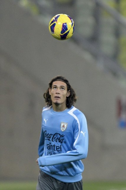 Edinson Cavani  (URU)	Napoli 	Gol:5