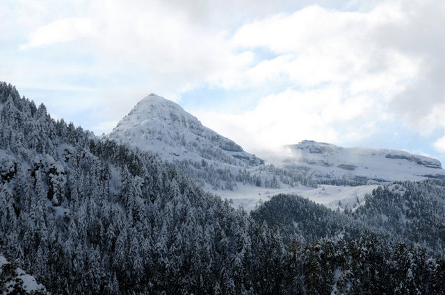 Mersin: Cezerye, tantuni, kerebici, zahter.