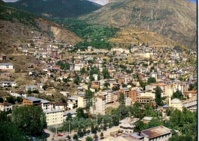 Gümüşhane: Köme, kuşburnu, dut pekmezi, dut pestili, lemis, haşıl, kanzılı börek, siron.