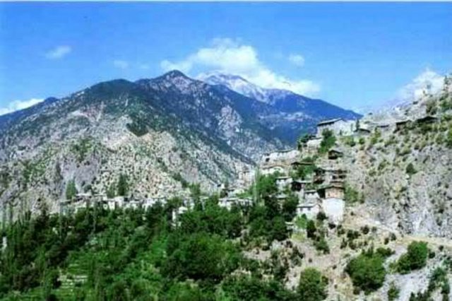 Artvin: Laz böreği, hınkal, çergebaz, gendima, herisa, şilav, hasuta