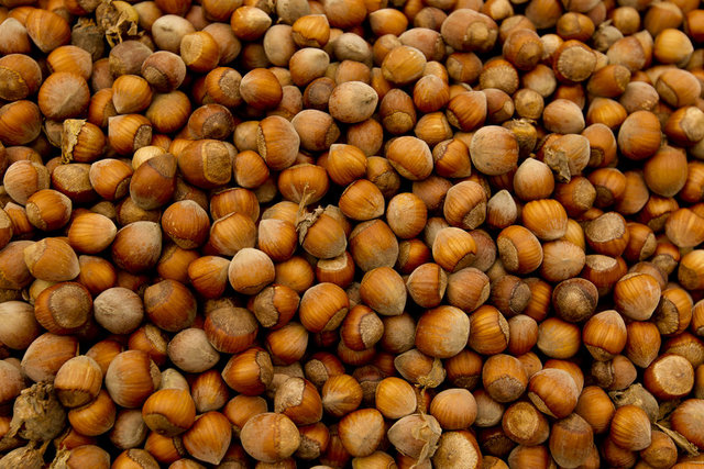 Fındık  - B ve E vitamini açısından zengin olan fındık, yağ oranı olarak yüksek olsa da, vücudun hasarlı dokularını onarma da birebirdir. Fındık aynı zamanda kalsiyum ve magnezyum açısından zengindir. Genç görünümlü bir cilde sahip olmanızı sağlar ve kemik sağlığını korumada yardımcı olur.