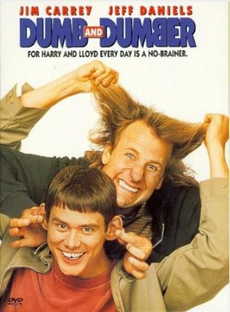 Dumb & Dumber - Salak ile Avanak, Lloyd girdiği tüm işlerde dikiş tutturamayan, sık sık iş değiştiren ve pek de akıllı olmayan biridir. Havaalanında karşılaştığı ve ilk görüşte aşık olduğu bayan çantasını havaalanında bırakmış ve uçakla Aspen'e gitmiştir. Lloyd çantasını ona ulaştırmak için kendisinden hiçbir farkı olmayan arkadaşı Harry'ide yanına alarak bayanın peşinden Kayak ve Turizm merkezi Aspen'in yolunu tutar. Yolda başlarından türlü komik olaylar geçen bu ikilinin sahibine ulaştırmak için götürdükleri çantanın içinin ağzına kadar para dolu olduğundan habersizdirler. Taa ki günler sonra Aspen'e ulaşıncaya kadar...