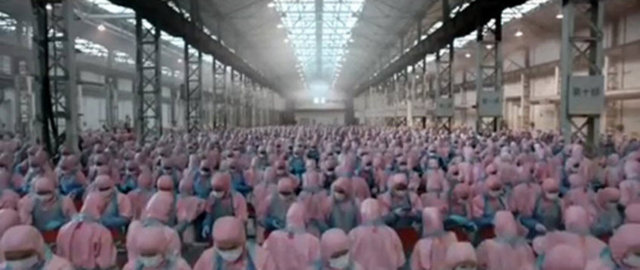 Modern zamanların köleleri, binlerce Çinli işçi yüksek teknoloji ürünleri için kimyasallarla iç içe çalışıyor.