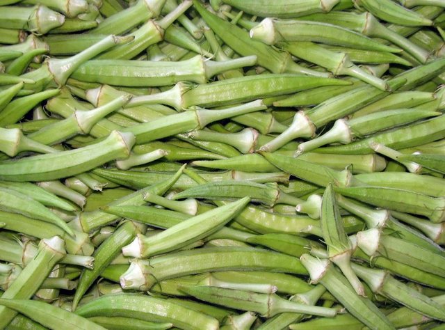 Bamya 100 gr - 36 cal