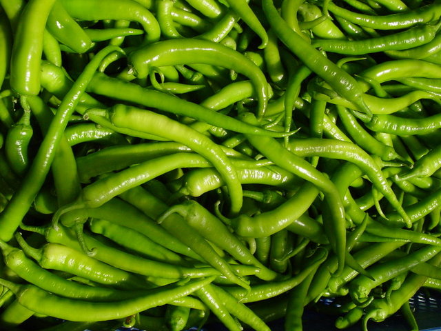 Taze biber 100 gr - 22 cal