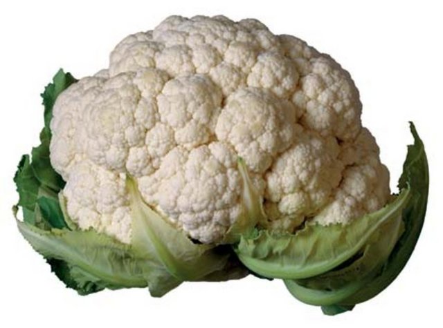 Karnabahar 100 gr - 32 cal