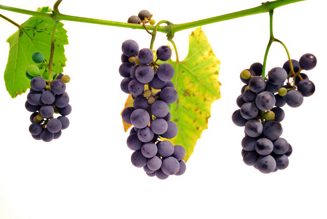 Üzüm 100 gr - 57 cal