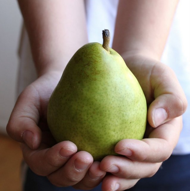 Armut 1 adet - 70 cal