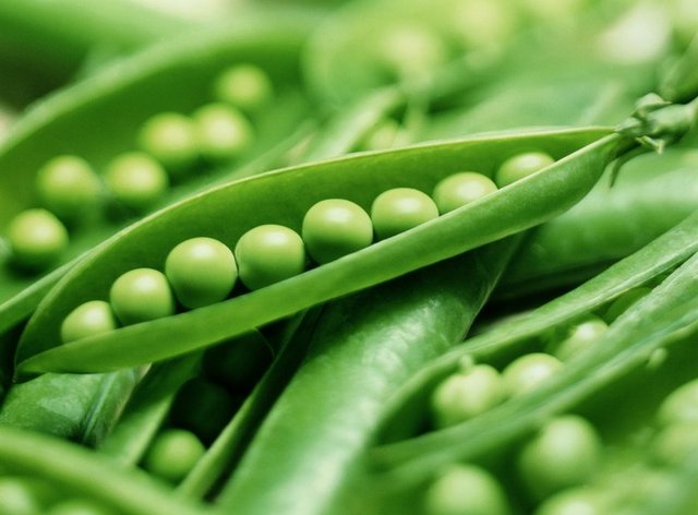 Bezelye 100 gr - 84 cal