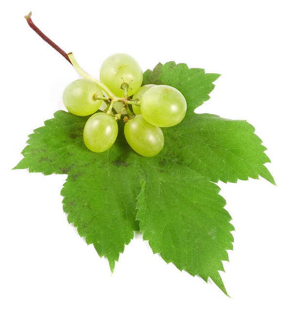 Asma yaprağı 100 gr - 97 cal