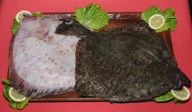 Kalkan 	100 gr - 193 cal