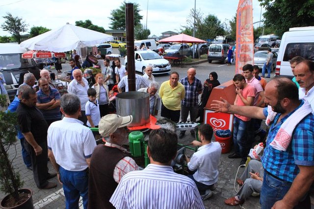 Yılda üç ton çay topladıklarını dile getiren Türker, İstanbul'a erken dönebilmek için topladıkları çayı düşük fiyata özel sektör yaş çay fabrikalarına sattıklarını ifade etti. -