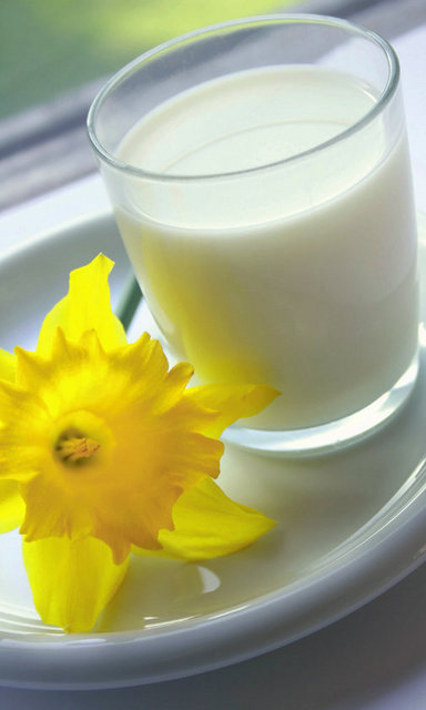 NEDEN BİTKİSEL SÜT? - --B vitamini ve demir kaynağı olan soya sütünde, süt şekeri laktozu - bulunmadığından laktoz hassasiyeti olanlar için soya sütü iyi bir - tercih olabilir. - --Bitkisel sütler hiçbir hayvansal gıda tüketmeyen veganlar için - önemli bir protein ve kalsiyum deposudur. - --Hazmı kolay ve az yağlı olan bitkisel sütler, diyet yapanlar için - uygun bir içecek olarak kabul edilir.