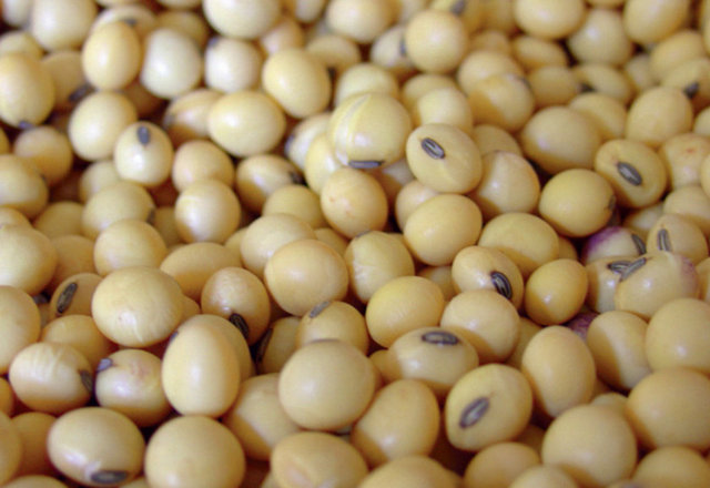 Pirinç sütü, daha çok kahverengi pirinçten üretiliyor. Soya sütünden - daha az yoğunluktaki pirinç sütü, Japonların amazake adlı düşük alkollü - tatlımsı içkisine benzeyen tadıyla, tatlılarla iyi gidiyor. İnek sütüne göre - daha yüksek oranda karbonhidrat içerirken, önemli miktarda kalsiyum ya - da protein içermiyor ve sütler içinde en az alerjik olanı.