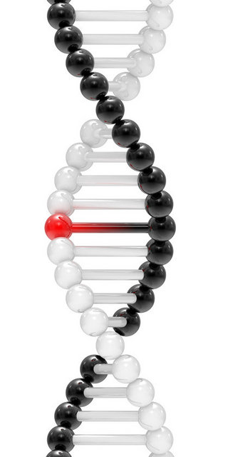 Ailelerin, engelli olan birinci çocuğa yardımcı olması için ikinci çocuğu yaptıkları tespitinde bulunan Keser, bunun son derece yanlış olduğunu vurguladı.