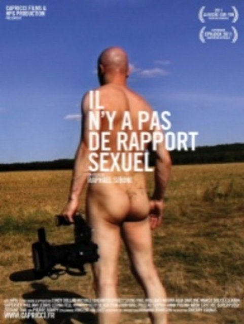 9-Cinsel Ahenk Yok (Il n'y a pas de Rapport Sexuel) (2011) -  - Porno piyasası başta fazlaca Fransız filmine malzeme olmuştur. Ancak bunların hiçbiri bu 'saklı' alana Raphael Siboni kadar yapıbozucu bir bakış atmamıştı. "Cinsel Ahenk Yok", porno piyasasının 'istismar' ve 'göz zevki' düşüncesini elinin tersiyle iten bir formül oluşturuyor. Alanın içinde şöhretli Fransız yönetmen Hervé P. Gustave'ın filmlerinin çekim aşamasında 'ikinci kamera'dan alınan görüntülerle kesif ve çarpıcı bir 'çerçeve' oluşturuyor. Bu reel ve keskin gözlem, hiçbir şeyin gerçek olmadığına dikkat çekiyor. Yönetmenin HPG adını verdiği bu çekimler ise cinsel temas olmadan gerçekleşen sahte seks sahnelerinin 'çarpıcı gerçekliği'ne uzanıyor. -